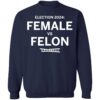 2024 Female Vs Felon Shirt